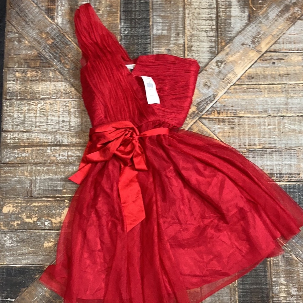 Max and Cleo NWT “Susan” red one shoulder dress. - Picture 3 of 7